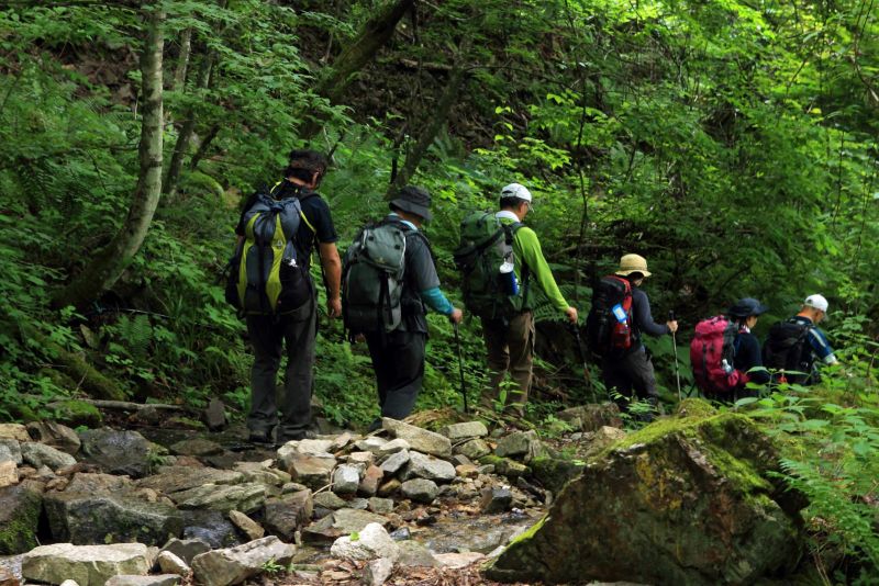 đi bộ đường dài